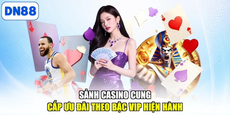 Sảnh thể thao sôi động với hàng nghìn kèo đấu mỗi ngày